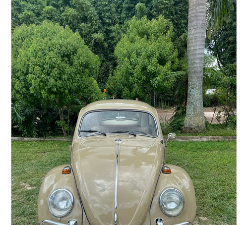       Volkswagen Vocho  1969