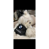 Roupa Pet - Guia Peitoral Bmw Personalizada + Brinde