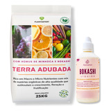 Terra Adubada Com Esterco Bovino Curtido Saco 25kg