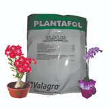 Plantafol Adubo 10-54-10 1kg P/ Floração De Rosa Do Deserto