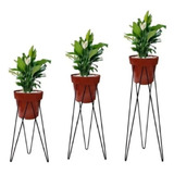 (promoção) Kit 3 Tripés Para Vasos Planta Jardinagem Pmg