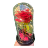 Rosa Artificial Eterna Encapsulada Luz Led Base