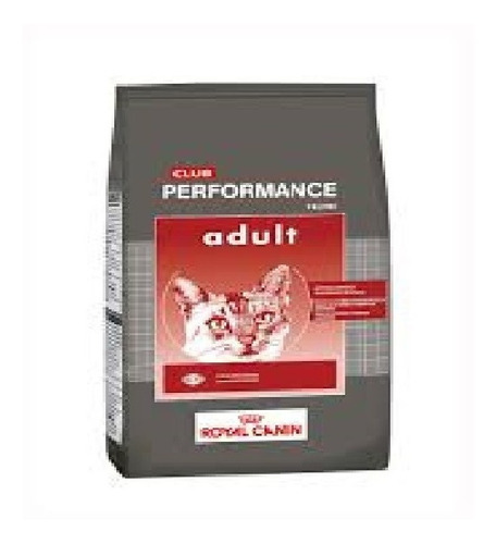 Royal Canin Performance Gato Adulto X 15kg E/gratis Al Pais!