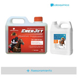 Combo Aceites: Omega 3 Horse Chia + Enerjet X 5 Litros + Env