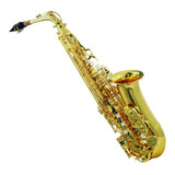 Sax Alto Michael Wasm35