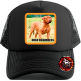 Gorra Dogo De Burdeos Animales Trucker (gorrasvienebien)