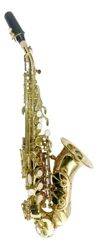 Saxofon Soprano Curvo Fanpro Sib Laqueado Sxscurved Msi