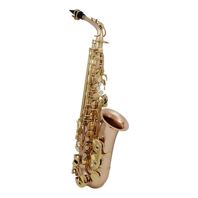 Saxofón Alto Roy Benson AS-202G Eb Bronce Con Estuche | Envío gratis