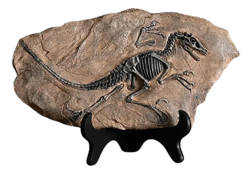 Adorno Decoracion Escultura Fosil Dinosaurio Casa Oficina