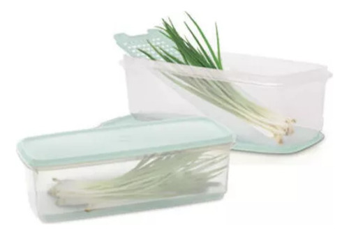 Fresquita Tupperware