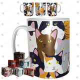 Taza Con Caja De Regalo Gatitos Gatos Mininos Michis M31