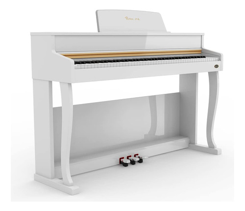 Piano Digital 88 Teclas Con Soporte Vertical Premium