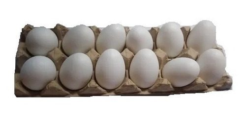 Huevos Gallina Falsos Inproagro - Unidad a $3042