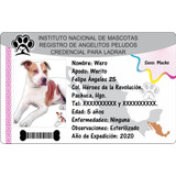 Credencial Para Ladrar Para Perro - Placa De Identificación