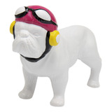 Estátua Bulldog Francês Escultura Cachorro Aviador Porcelana
