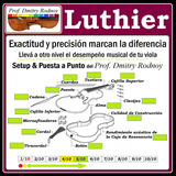 Viola Setup & Puesta A Punto X Luthier - Prof. Dmitry Rodnoy