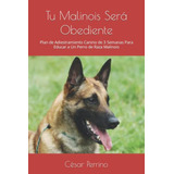 Tu Malinois Sera Obediente: Plan De Adiestramiento Canino De