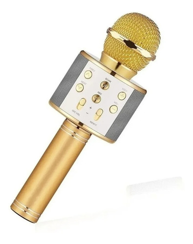 Micrófono Sm Ws-858 Inalámbrico Bidireccional Color Dorado