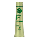 Shampoo Haskell Jaborandi 500ml