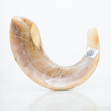 Shofar De Carnero De 34 A 37 Cm Sc3 + Manual De Uso