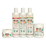 Kit Apse África Shampoo, Condic, Gelatina, Máscara E Creme