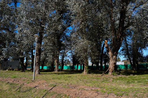 Venta De Lote Central En Álvarez Del Bosque. Barrio Cerrado