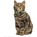 Ximipet - 2 Collares De Seguridad Ajustables Para Gatos Y Ga