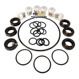 Kit Reparos Completo Electrolux Wap Mini Antiga 4500-4100