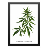 Quadro Imagem Botanica Planta Maconha Marijuana 420 Cannabis