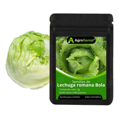 Semillas Lechuga Romana Bola AgroGenial 3g Rinde 2400 Plantas | MercadoLibre