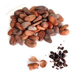 Semillas De Cacao-chiapas  1kg 