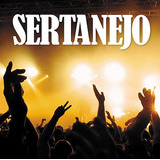 Musicas Gravadas Top Sertanejo 2024 V.01  - Pen Drive