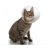 Collar Isabelino Para Perros Y Gatos Post Quirurgico T.1