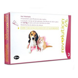 Combo Revolution Cães Gato Filhotes 15mg Até 2,5kg 3 Pipetas