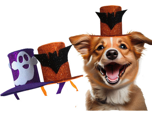 Cartola Pet Com Fita - Fantasia Coleção Pet Halloween
