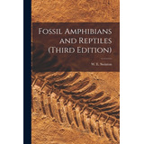 Libro Fossil Amphibians And Reptiles (third Edition) - Sw...