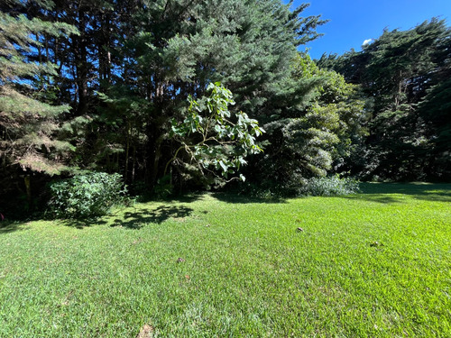 Vendo Terreno Los Ángeles San Rafael 1.343 M2 Con 35 Metros De Frente - Imagen 4