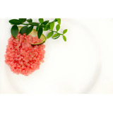 15 Semillas De Limon Caviar Rosa ( Citrus Australasica )