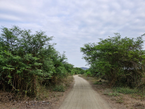 Vendo Terreno De 6.84 Hectáreas Salas, Lambayeque - Imagen 3