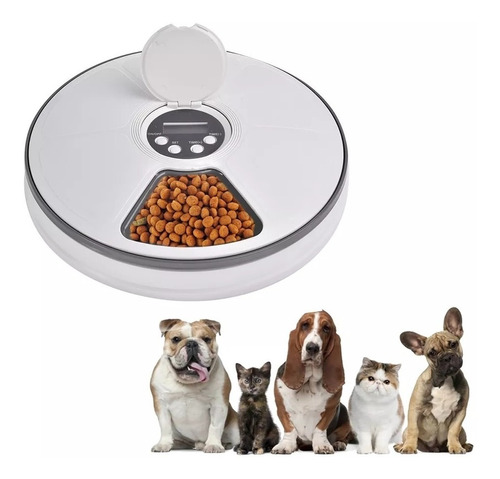 Dispensador Alimentos Automático Perros Y Gatos - Codystore