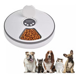 Dispensador Alimentos Automático Perros Y Gatos - Codystore