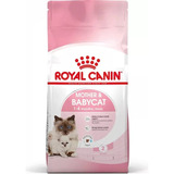 Royal Canin Mother And Babycat 1.37 Kg.