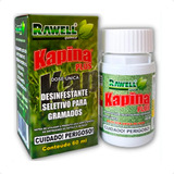 Kapina Plus Desinfestante Seletivo Para Gramados Rawell 60ml