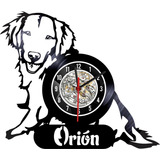 Reloj Personalizado Lp / Vinyl Clock Con Fotos De Tu Mascota