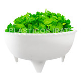 30 Molcajetes En Color Blanco Uso Universal Salsa Sal Limon