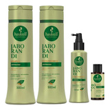 Kit Completo Anti Quedas De Cabelo 300ml Jaborandi Haskell