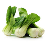 50 Semillas De Pak Choi Hortalizas Exóticas Para  Tu Huerto