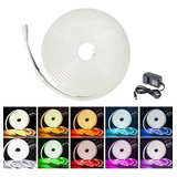 Tira Led Neón Flex Unicolor Decorativa 5 Metros C/eliminador Color De La Luz Blanco Frío