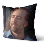 Funda Cojín Nicolas Cage Meme Almohada Ultra Suave En Velvet