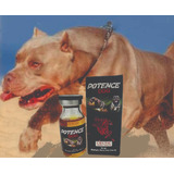 Potence Dog 10ml Original Massa Muscular Pit Bul American Bu